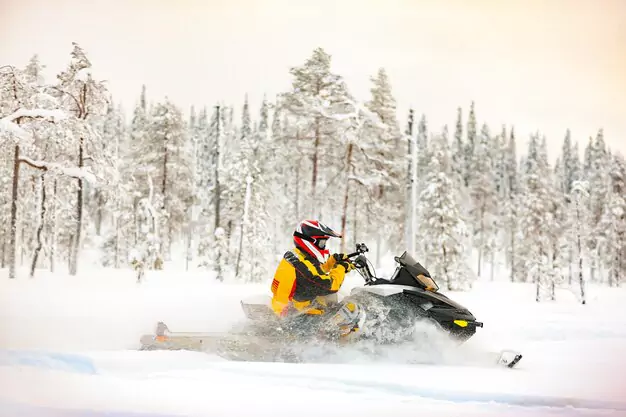 Snowmobile Tours